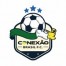 Conex�o Brasil FC